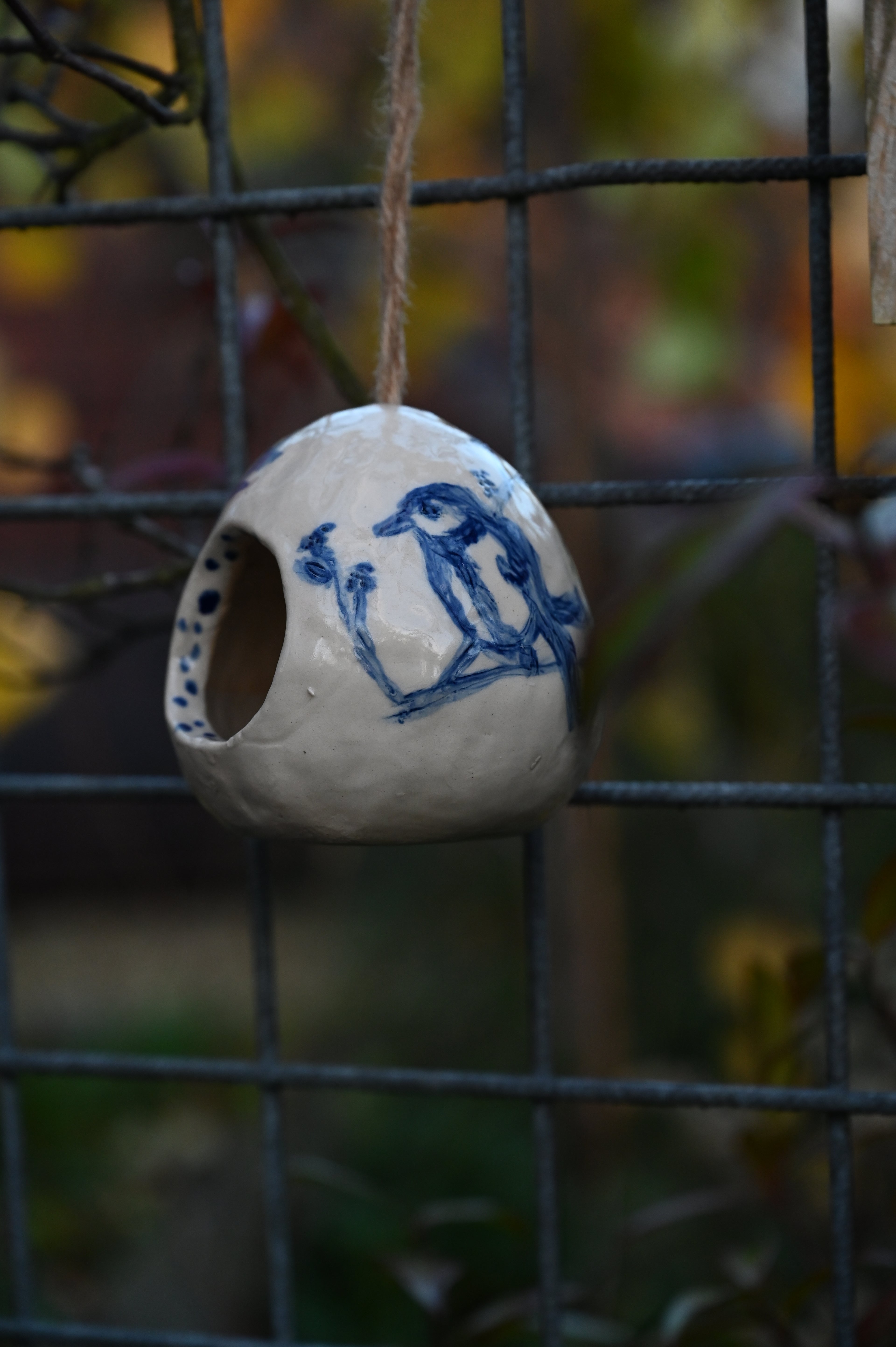 Workshop Flora & Fauna